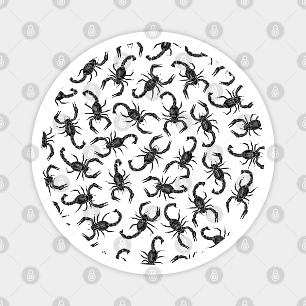 Scorpion Swarm Magnet by Grandeduc